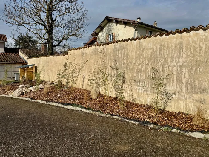 Aménagement paysager le long d'un mur